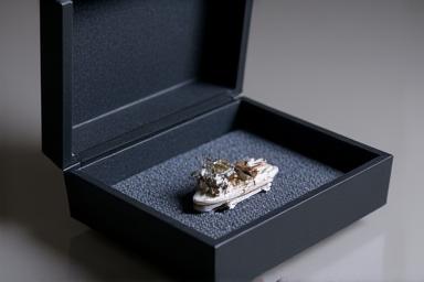 Packaging de protection pour miniatures